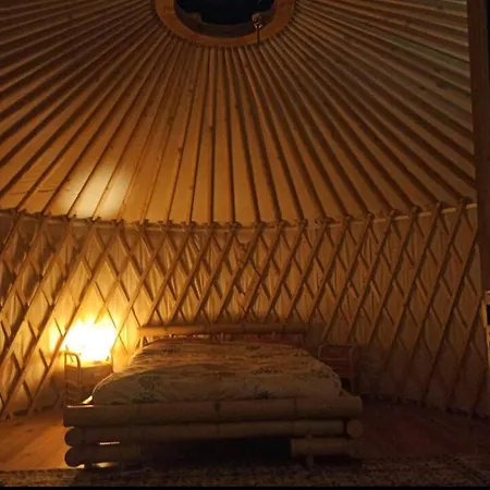 Yurta Fra Gli Ulivi E Il Mare Luxury tent Rapallo