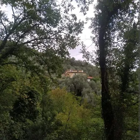 Yurta Fra Gli Ulivi E Il Mare * Rapallo
