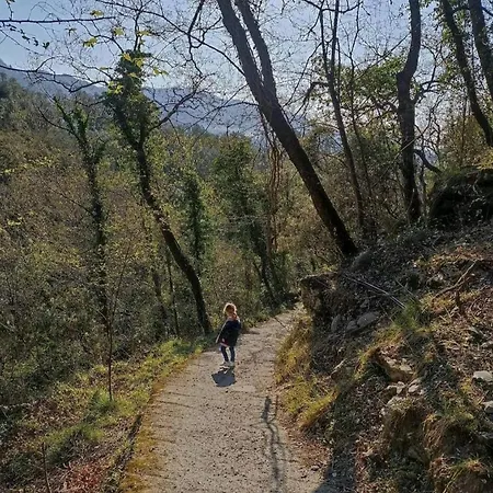 Yurta Fra Gli Ulivi E Il Mare