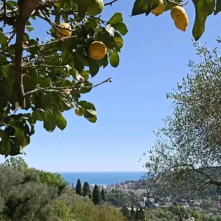 Yurta Fra Gli Ulivi E Il Mare *