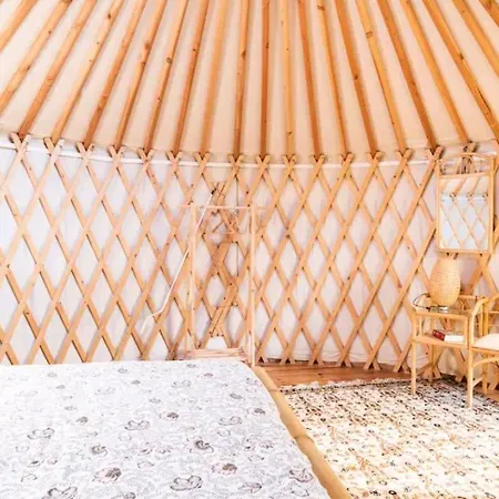 Yurta Fra Gli Ulivi E Il Mare * Rapallo