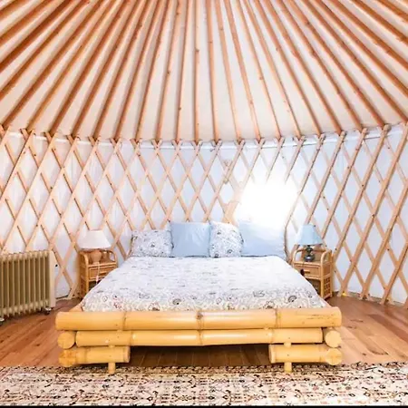 Yurta Fra Gli Ulivi E Il Mare