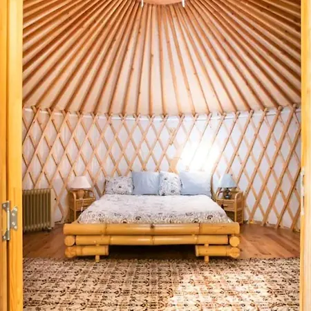 Yurta Fra Gli Ulivi E Il Mare *