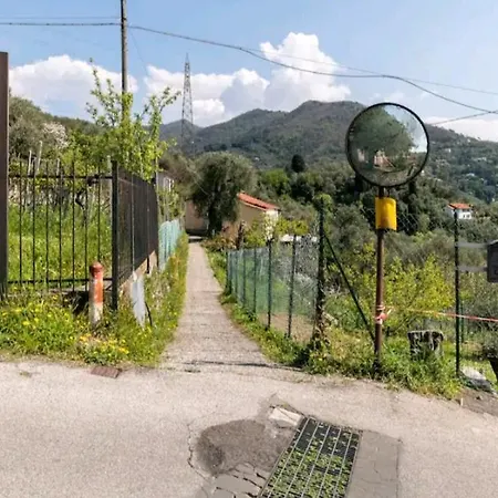 Yurta Fra Gli Ulivi E Il Mare Rapallo
