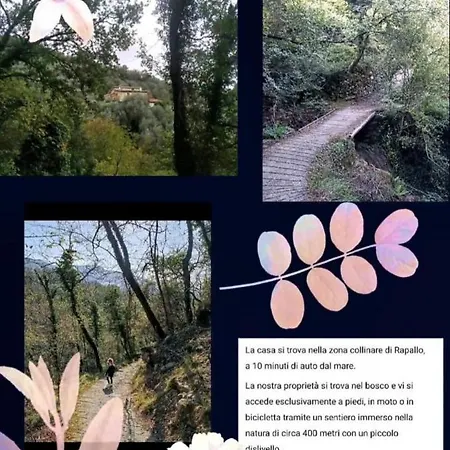 Yurta Fra Gli Ulivi E Il Mare Luxuszelt