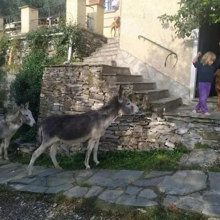 Yurta Fra Gli Ulivi E Il Mare Luxuszelt *